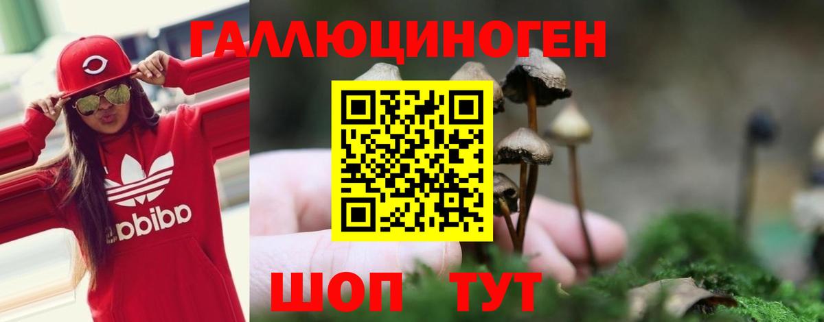 Дзержинск  Галлюциногенные грибы Cubensis  Вход с VPN 